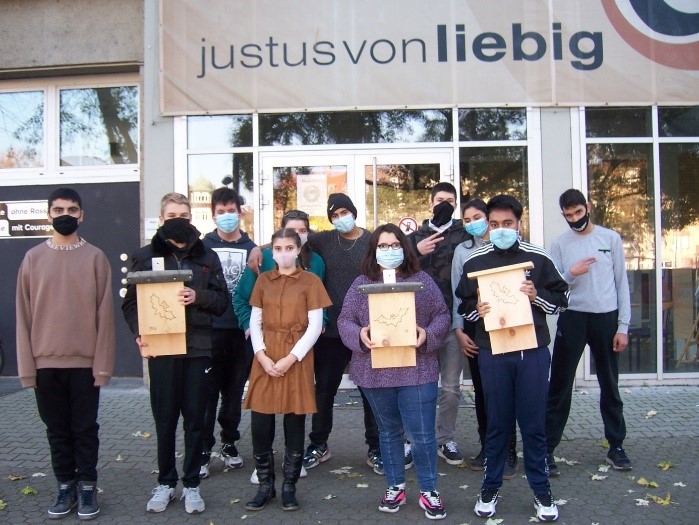 Schler_Fledermaushuser.jpg
